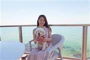 愛犬とドライブデート。提供：執筆者