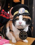 三毛猫の名誉永久駅長「たま」＝平成２４年