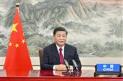 中国の習近平国家主席（新華社＝共同）