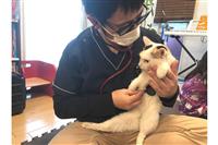 現在は東京都内への往診が中心だが、今後は獣医師を増やして、全国への展開を考えている
