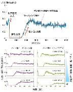 図2&nbsp;&nbsp;化学物質入力に対するバクテリアの典型的な時間応答データ(上)と「慣れる」過程のバリエーション(下)